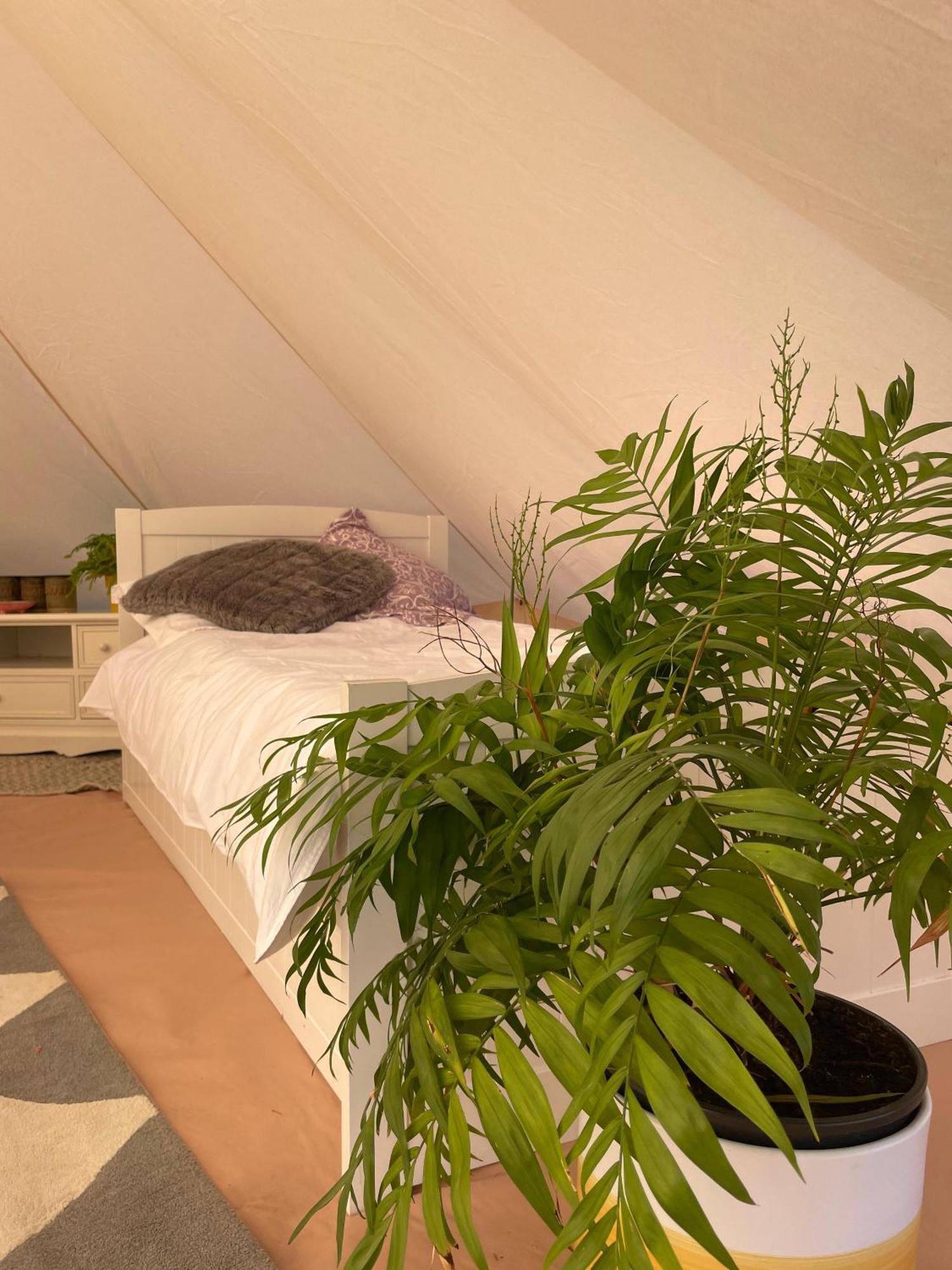 Trevena Cross Glamping & Camping Гелстон Екстер'єр фото