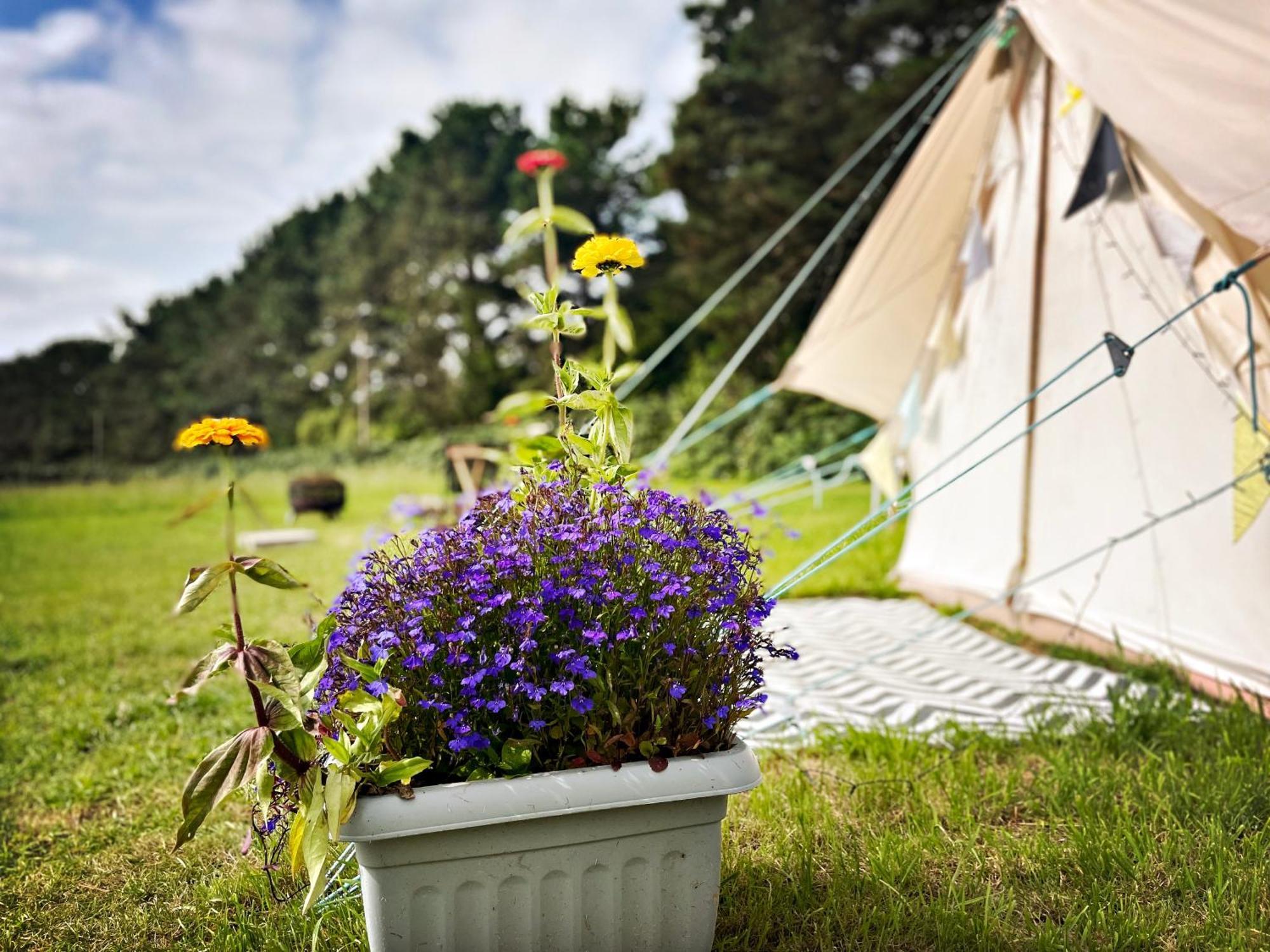 Trevena Cross Glamping & Camping Гелстон Екстер'єр фото